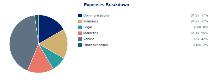 Pie chart breaking down the annual expenses by category