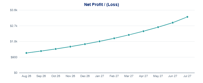 Line chart of monthly net profit across the twelve months